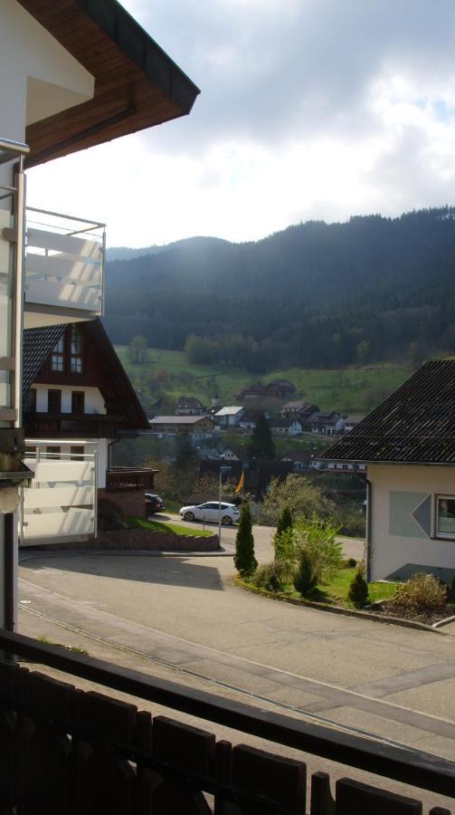 Williams Seebach